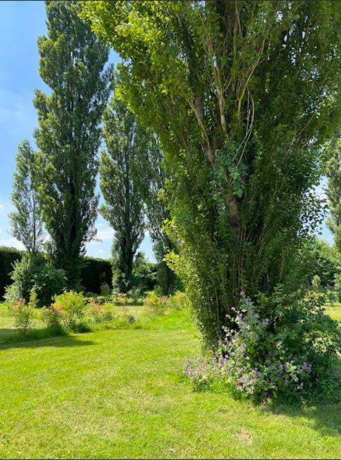 Отель Domaine Des Epinettes Saint-Romain-de-Jalionas Экстерьер фото